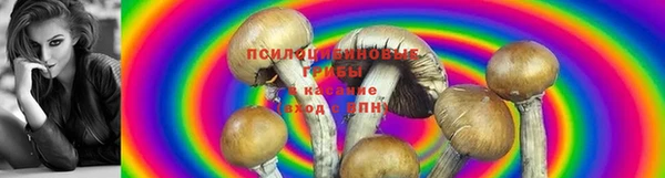 бутират Магас