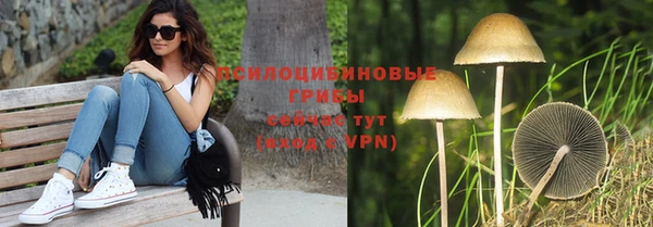 бутират Магас