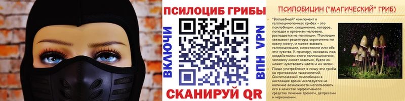 купить   Тырныауз  Псилоцибиновые грибы Psilocybine cubensis 